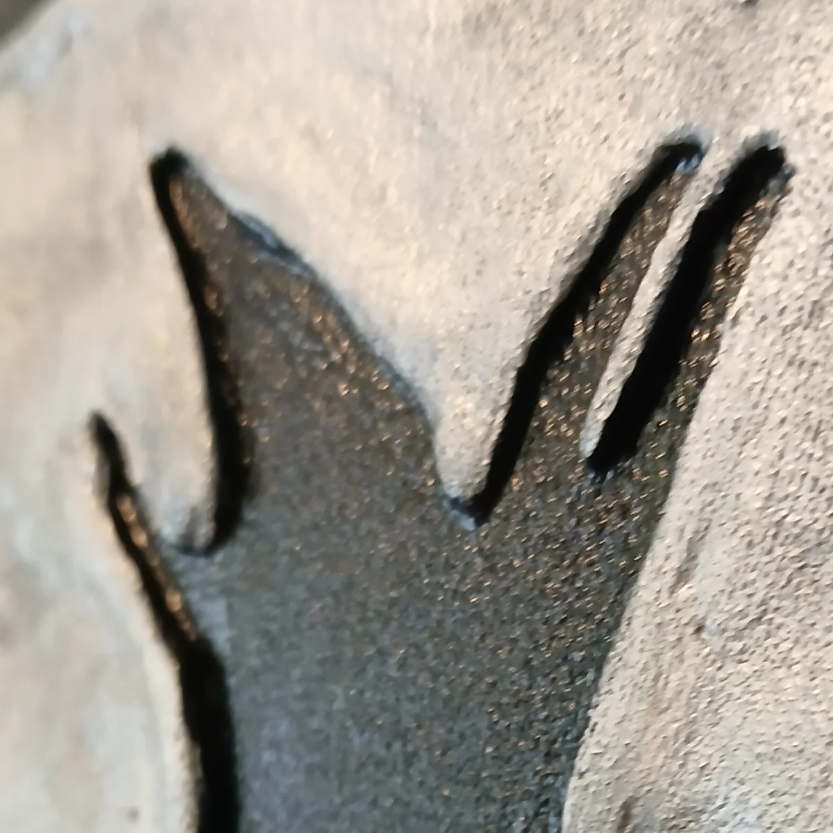 Tableau texture sagesse éléphant détails